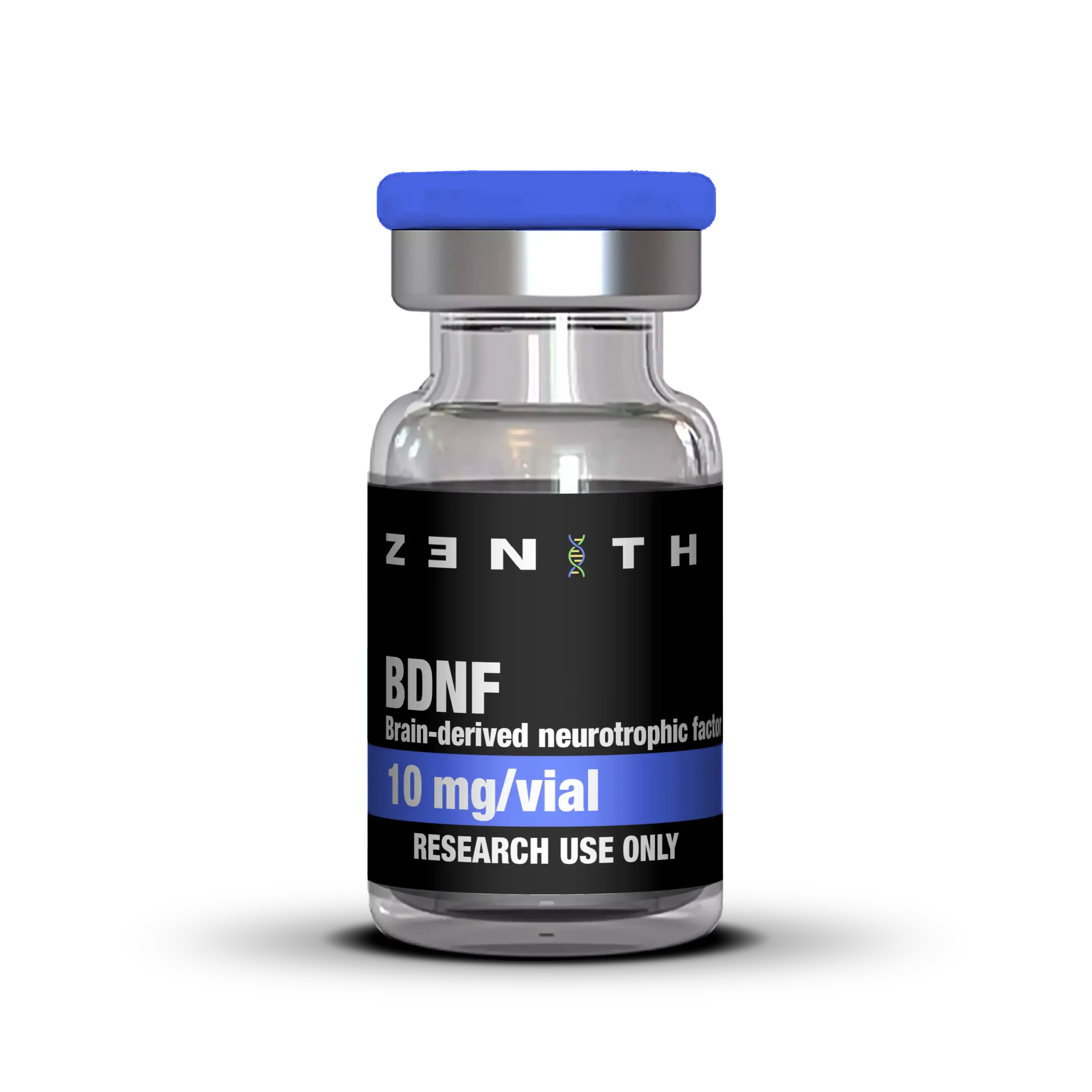 BDNF (Brain-derived neurotrophic factor) (10mg)